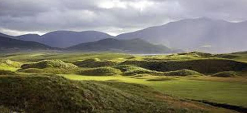 dingle gc